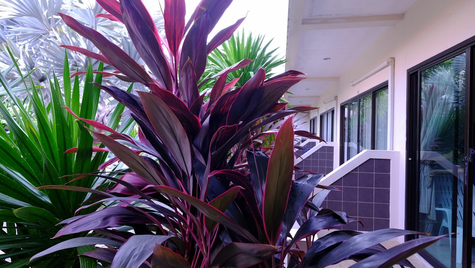 Samui Guest House Lamai Beach  Esterno foto