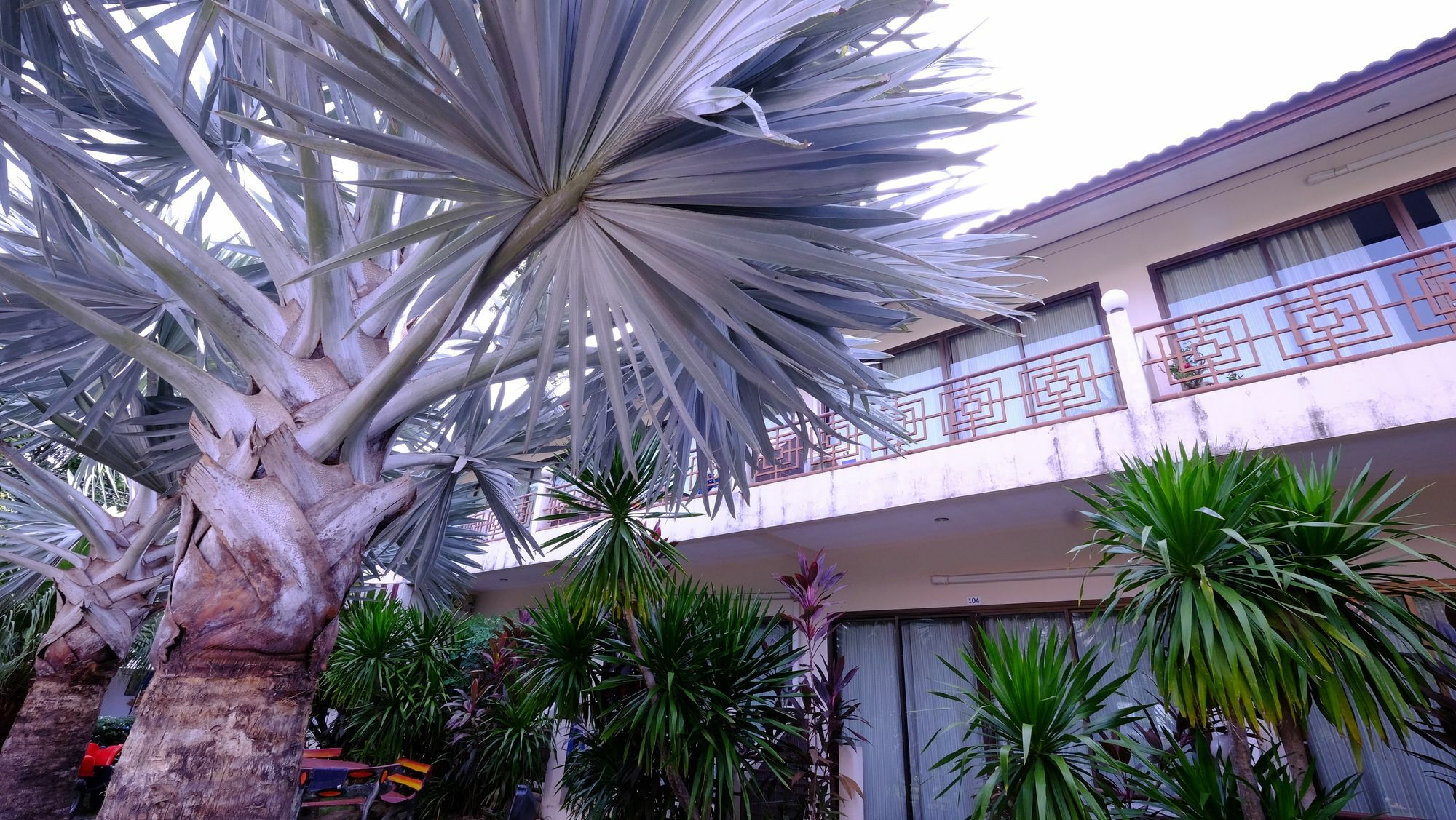 Samui Guest House Lamai Beach  Esterno foto
